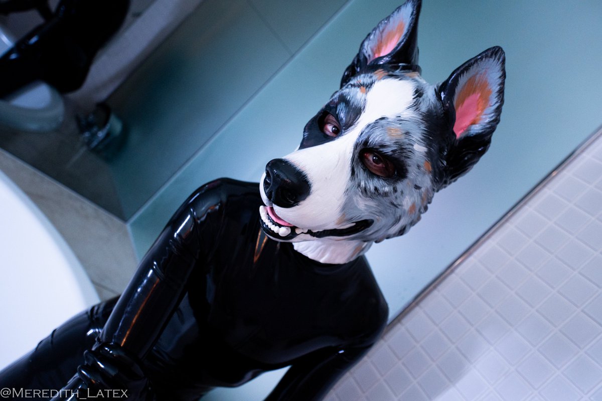 I love latex suit💚

photo by <a href="/kumi_trans/">Kumi🦊</a> 
#pup #puppy #latex #furry