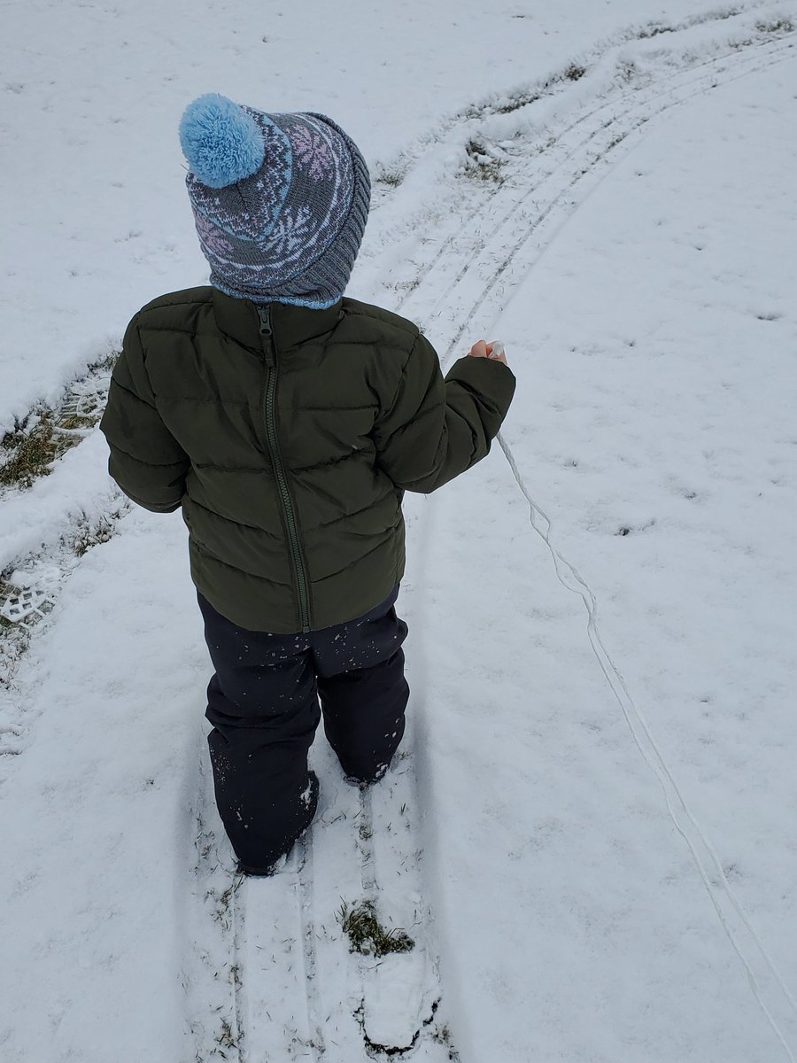 Bill Adams - 🗡🩸📺 Death Show Colossus 2026! tweet media