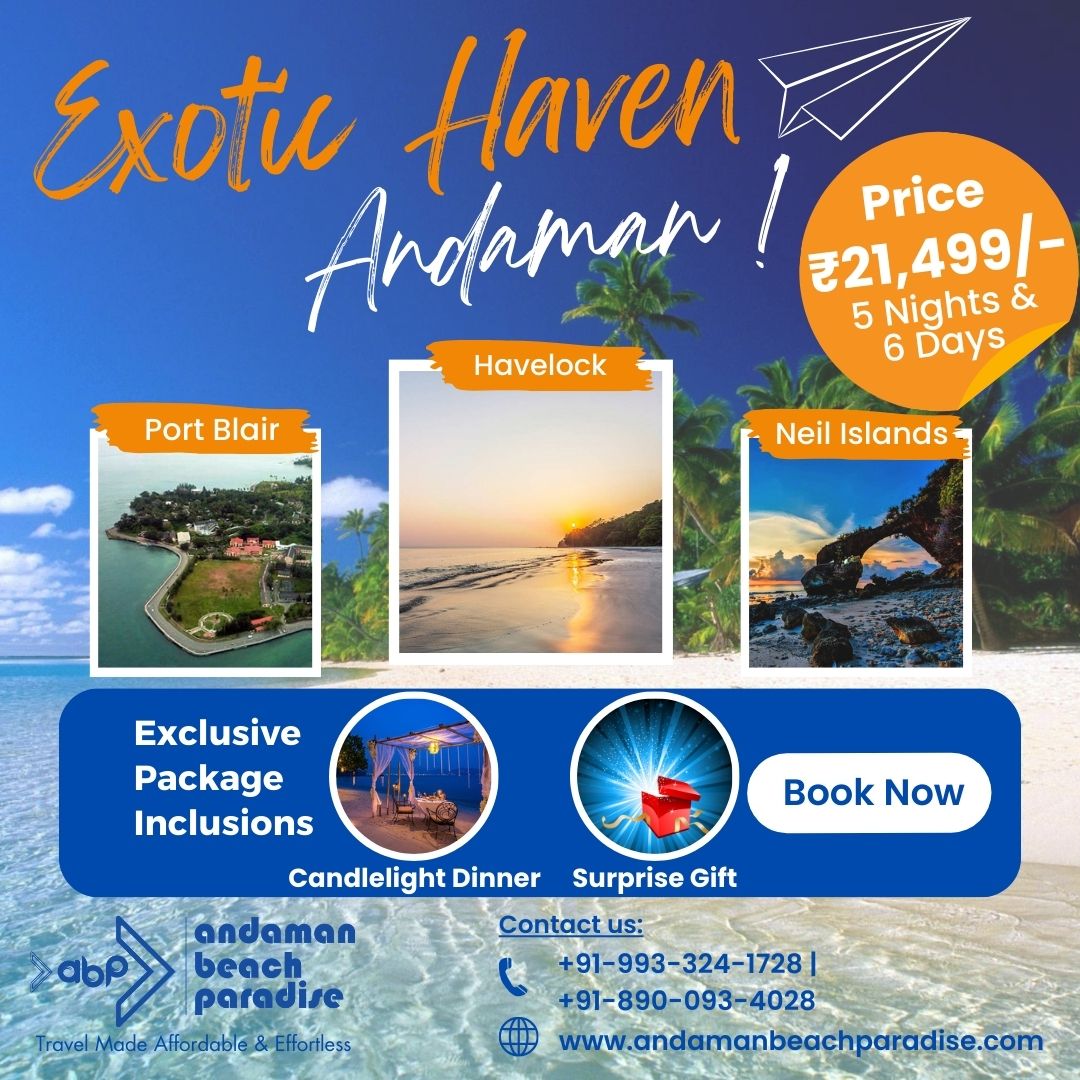 BeachAndaman's tweet photo. Why #Maldives ? 
When We have #Andaman &amp; Nicobar #Islands 
#ExploreIndianIslands | #Lakshadweep
Contact Us : 
+91-993-324-1728 | +91-890-093-4028
booking@andamanbeachparadise.com
https://t.co/P4jshQS2Zp https://t.co/dBkl9gGdIl
