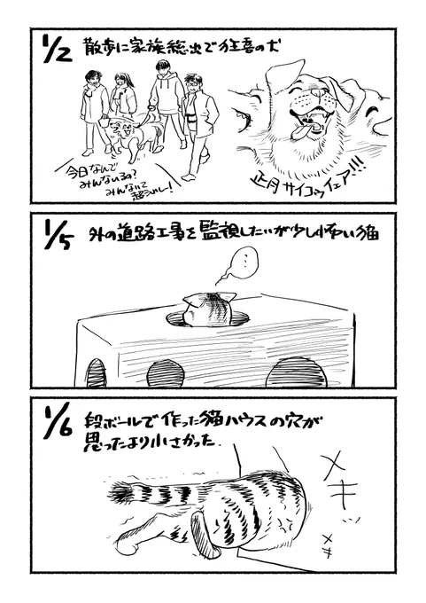 雑日記
正月休み中に見たちょっといいものたち 