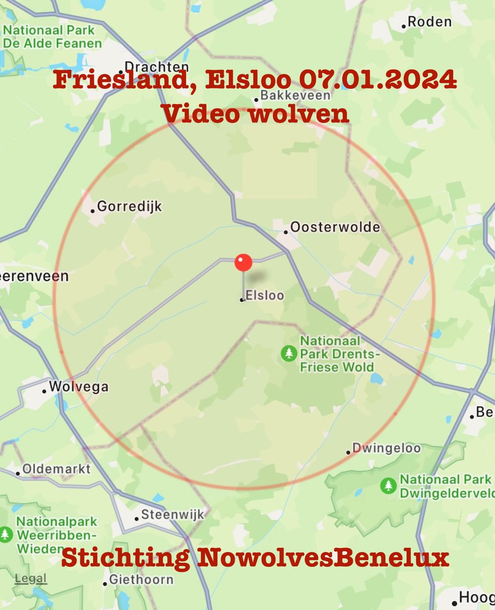 PlatformWeN's tweet image. #Friesland, #Elsloo, Ooststellingwerf

rond 12.30 uur

3 #Wolven gespot bij de oude melkfabriek Elsloo

07.01.2024 

Pas op uw dieren !!