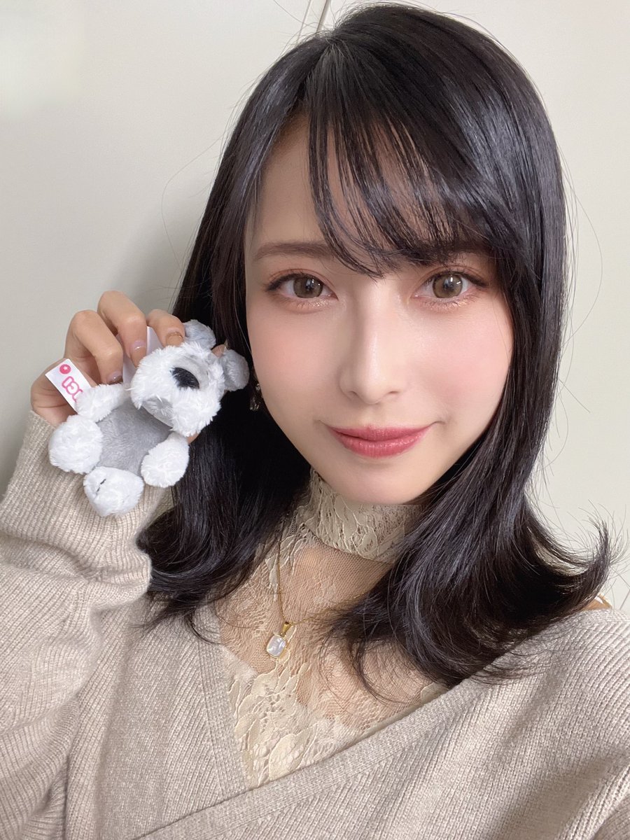 jiena_gaim's tweet photo. 大好きシュナちゃん🩶 https://t.co/xEjSP1ZxPN