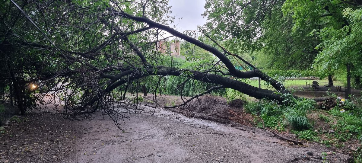 Así empezamos el día. Fantasmas del 2015. Mi calle bloqueada. Por suerte las tareas de limpieza del cauce del río dieron resultado y no desbordó.