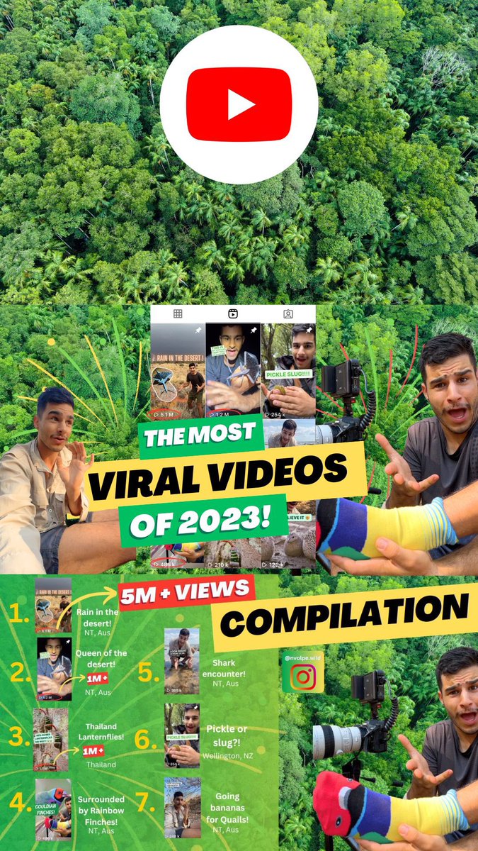 Nick Volpe tweet media