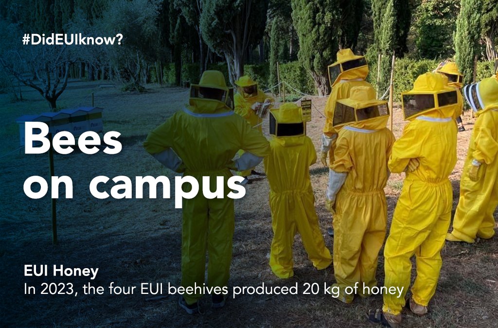 EUI_EU's tweet photo. #DidEUIknow
The EUIโs four hives in the campus gardens, made up of 240,000 bees ๐ produced 20 kg of honey in 2023. ๐ผ๐ฏ https://t.co/fbwySccfFG