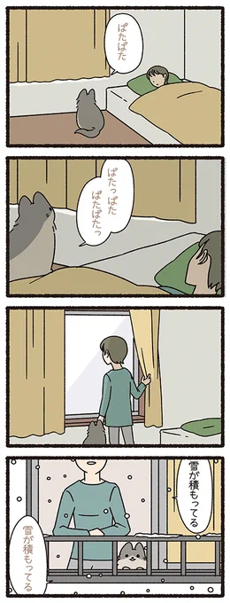 ねこようかい やまびこ
#ねこもんすたー #ねこようかい 