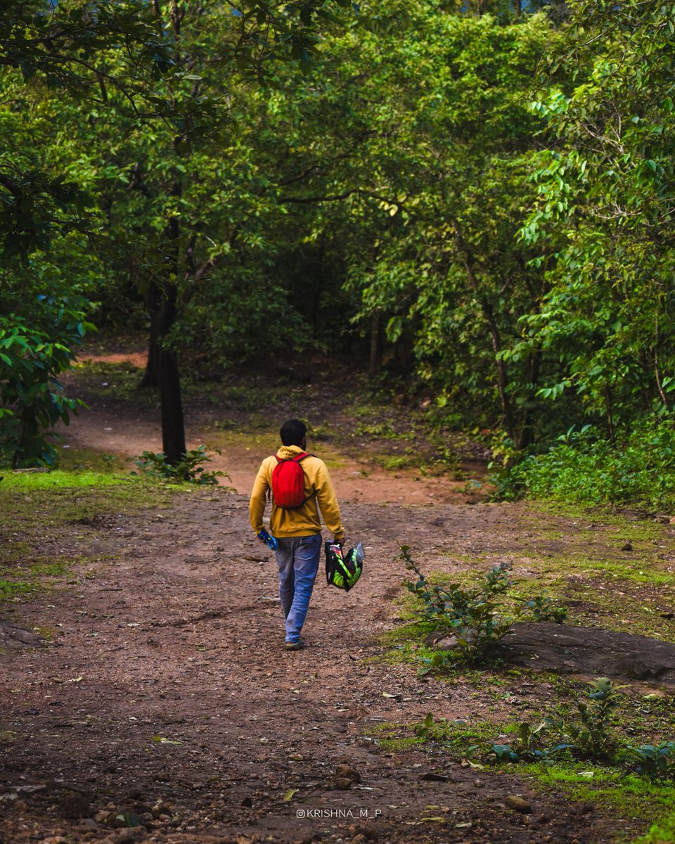 krishna_m_p's tweet photo. Alemariye...
.
.
#trekking #westernghats #NatureBeautiful #nikonphotography #2024 https://t.co/ClhVpEu24V