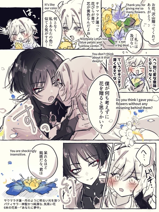 贈った花には意味がある/放蛍 