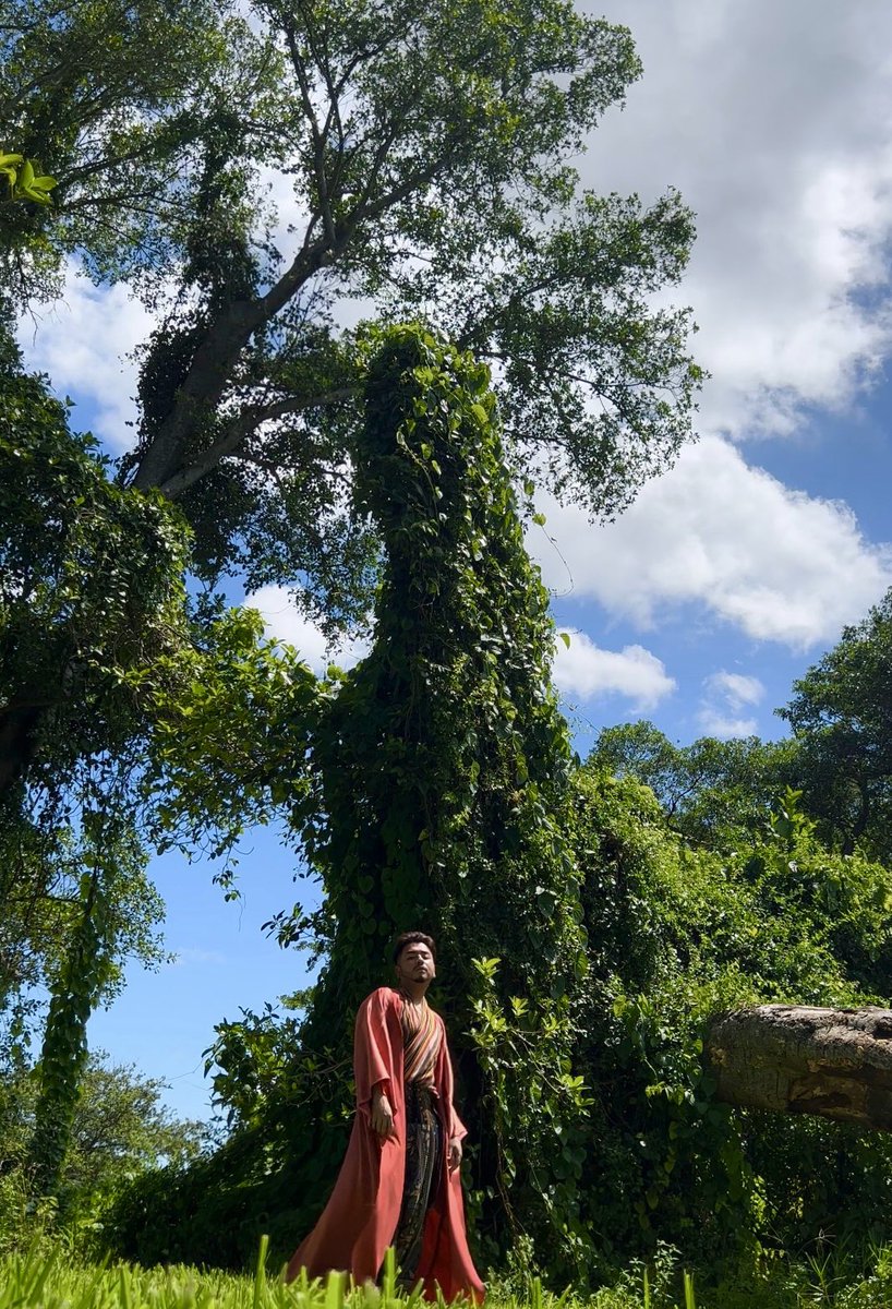 Metaesthetics1's tweet photo. “God sleeps in the rock, dreams in the plant, stirs in the animal, and awakens in Man.” - Ibn Arabi https://t.co/ShoKfncfG7