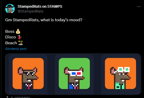 cihan0xeth's tweet image. #OpenStamp SRC20'ler üzerindeki ilk Launchpad projesi olan @StampedRats detaylarını açıkladı.

📢StampedRats #SRC20 üzerinde bir NFT projesi. SRC-721 protokolünü kullanıyor.
 @btcopenstamp 'in ilk Launchpad projesi olduğu için önemli.

Detaylar ve bilgi için resmi telegram: