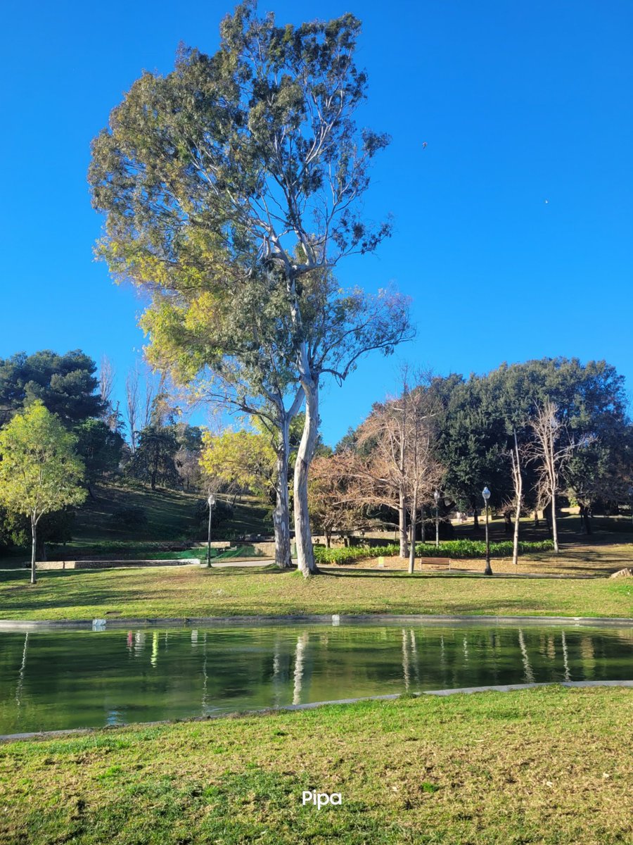 pipapipia's tweet photo. Right now I'm in the Jardins de Montjuïc. Barcelona The sky is a spectacular blue and it's very windy. 😘💙 https://t.co/RoSCXnaPtQ
