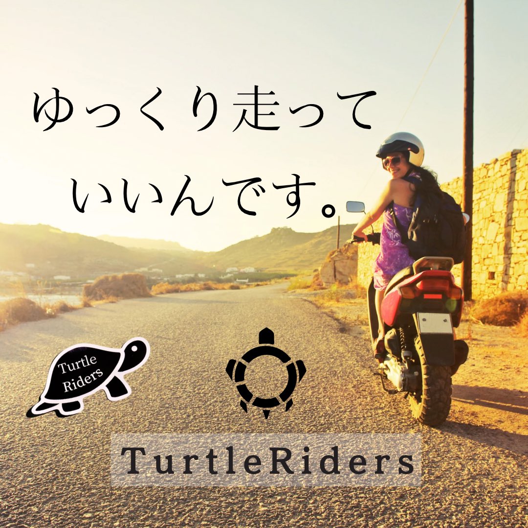 タートルライダース/TURTLERIDERS tweet media