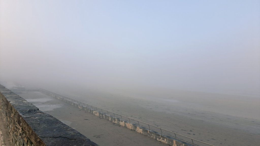lollifitz's tweet photo. #coldandfoggy https://t.co/A7daLLwhk2