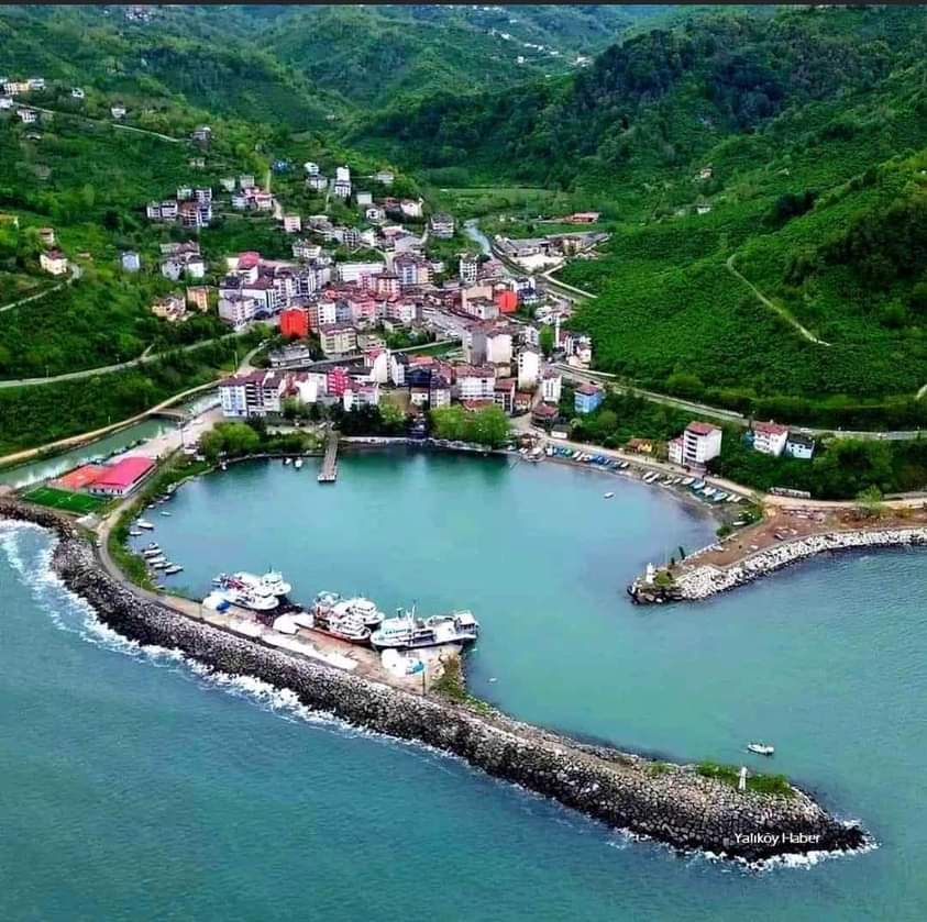 ordualbum's tweet photo. Fatsa Yalıköy 🏞 https://t.co/UD4dsCWLAn
