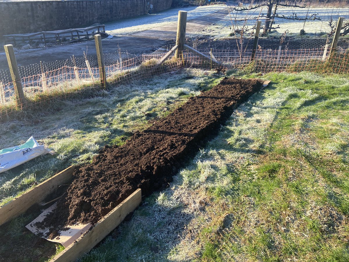 Nice Sunday morning building no dig vegetable 
Plot🥕🌽🥦

Benefits of no dig are better soil structure , less weeding, improved water retention , fewer pests!