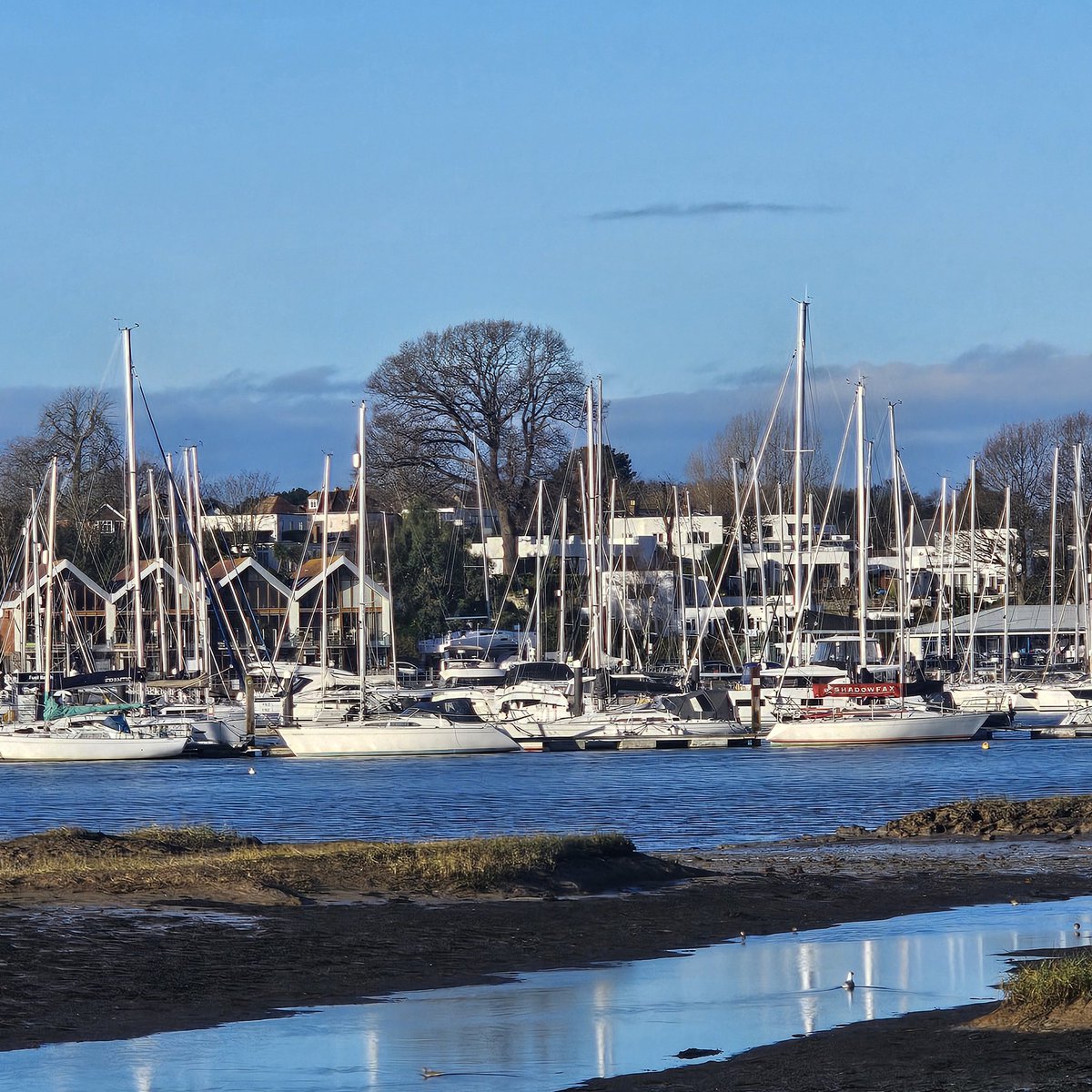 Beautiful walk down the river this morning. Apparently there is a seal about but I haven't been lucky enough to see him