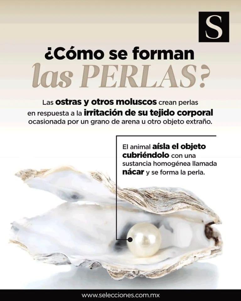 Rosario Sasieta tweet media