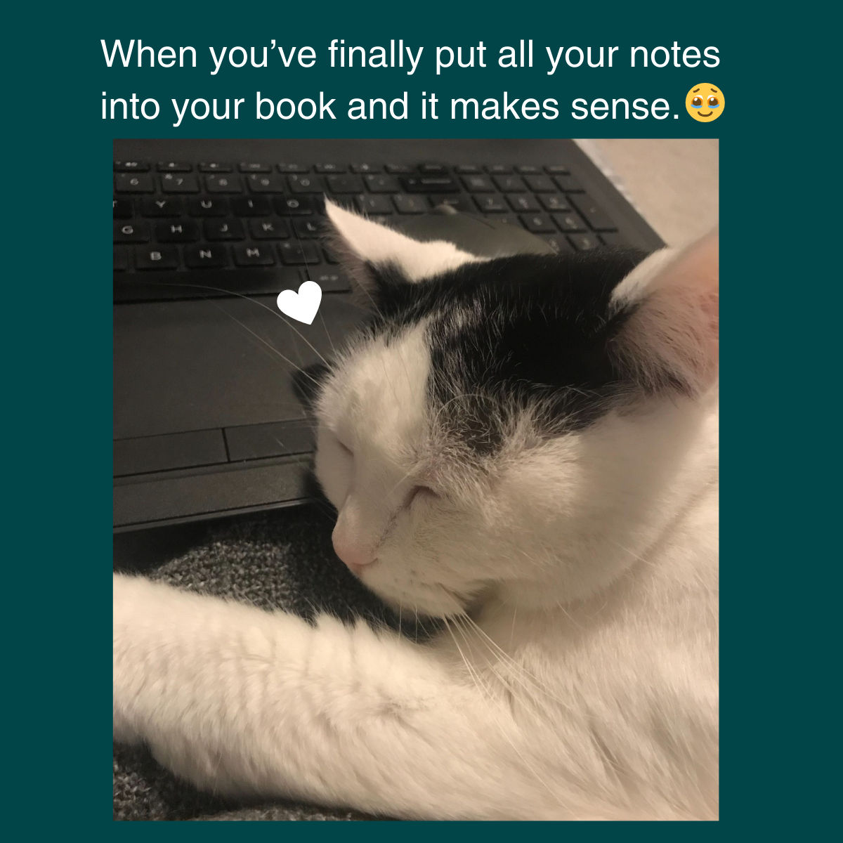 Finally my notes app is a little less chaotic 🥹