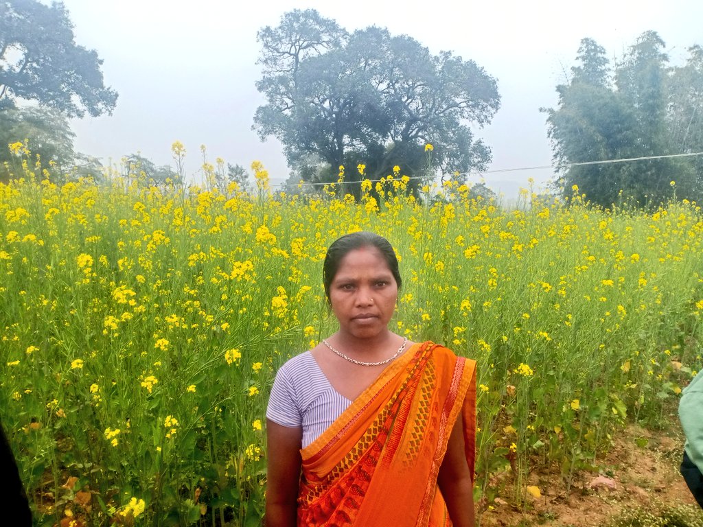 <a href="/kccjharkhand/">किसान कॉल सेंटर, झारखंड</a> <a href="/Badal_Patralekh/">BADAL</a> रांची जिला के खलारी प्रखंड अंतर्गत राय पंचायत में बिरसा फसल विस्तार योजना के अंतर्गत संकुल प्रत्यक्षण के तहत किसान बसंती देवी के द्वारा लगाए गए सरसों का निरीक्षण  प्रभारी प्रखंड कृषि पदाधिकारी आदित्य नाथ झा के द्वारा किया गया।
#Sunday_with_Farmers