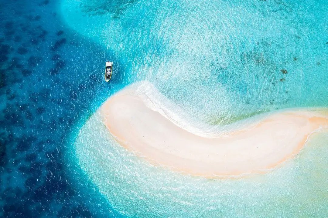 DealsDhamaka's tweet photo. Why should we Indians go to the Maldives when we have Lakshadweep It is more beautiful than the Maldives. 

Say No To Maldives 🚫 #BoycottMaldives

#ExploreIndianIslands | #Lakshadweep https://t.co/FI0tapIWgS