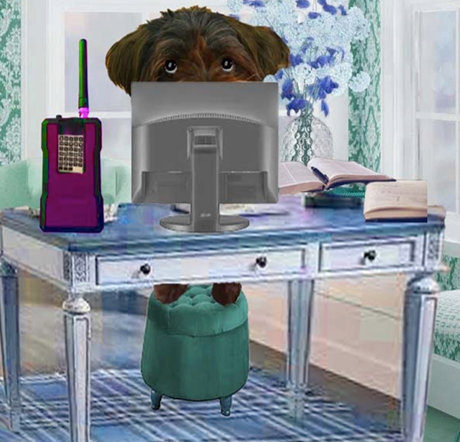 AnimalMusings-where the FUR PALS PRESIDE tweet media