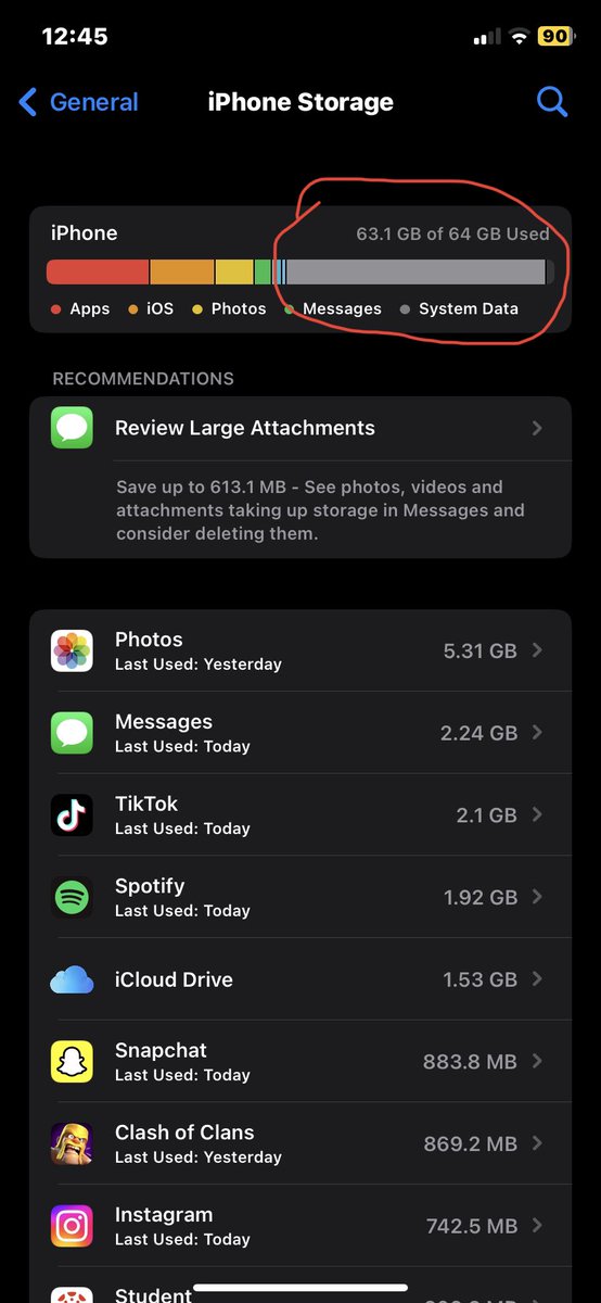 Zijn er nog mensen met dit probleem en iemand die weet hoe dit op te lossen? 32GB van mn 64 aan geheugen is system data… iphone constant vol