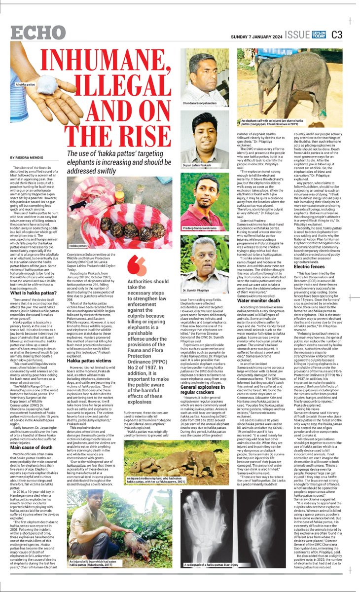 SupunPrakash's tweet image. Chair of Human-Elephant Coexistence Subcommittee, Wildlife and Nature Protection Society #WNPS of Sri Lanka, Supun Lahiru Prakash explains how victims of Hakka pattas face slow and painful deaths, particularly elephants …

Ceylon Today – January 07, 2024: ceylontoday.lk/2024/01/06/inh…