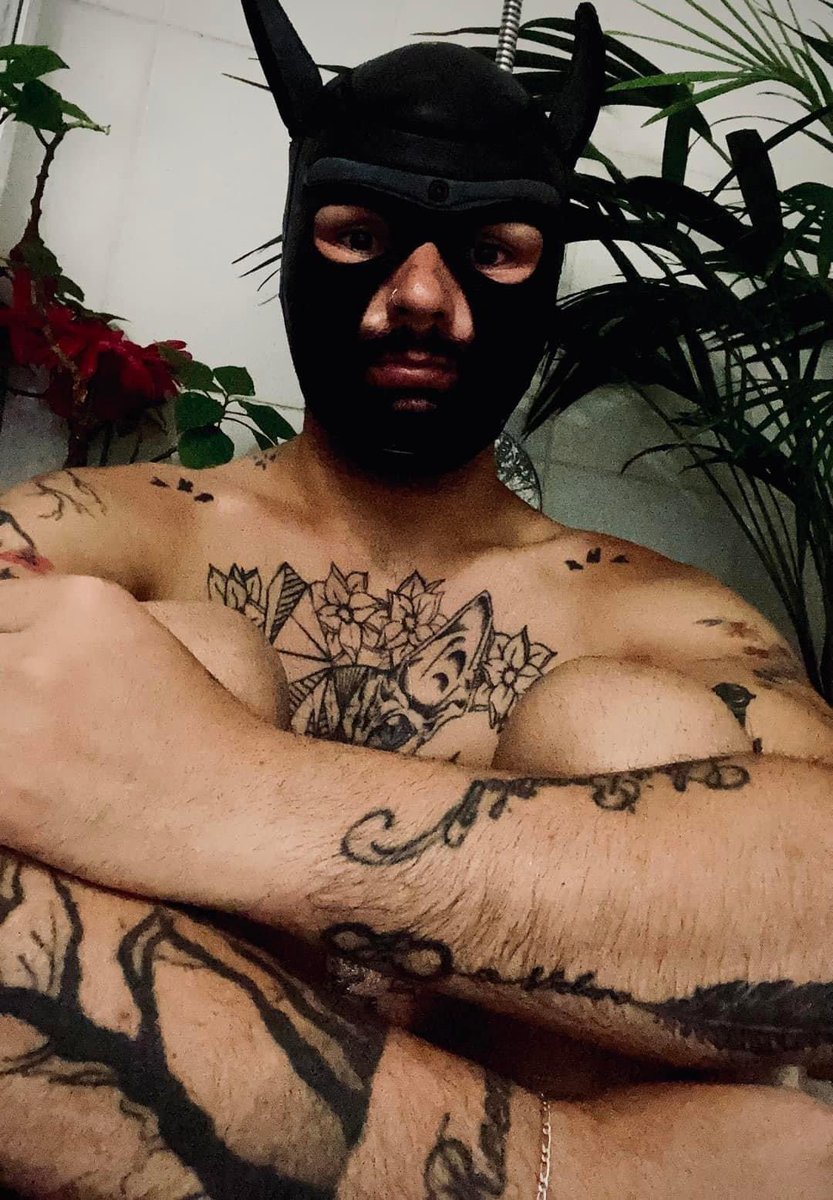 Danielbigdicksa's tweet photo. https://t.co/kjNvzdG4fo  #pub https://t.co/aUf0OrhFbR