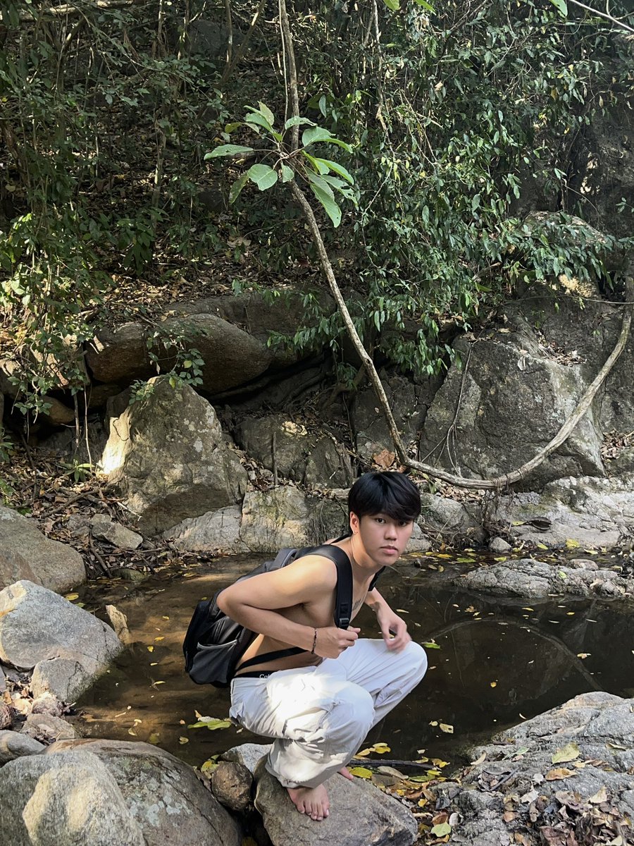 หมูหวาน tweet media