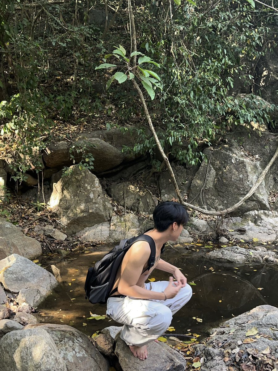 หมูหวาน tweet media