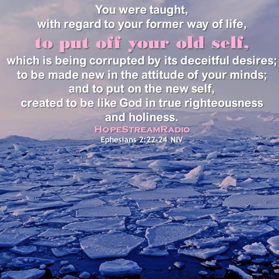 HopeStreamRadio's tweet photo. #dailyverse #versefortoday #hopestreamradio #Ephesians2v22-24 #oldself #new #newbirth #newcreation #madenew #newstart #2024 #newyear #newbeginning https://t.co/QMs41LUfkR