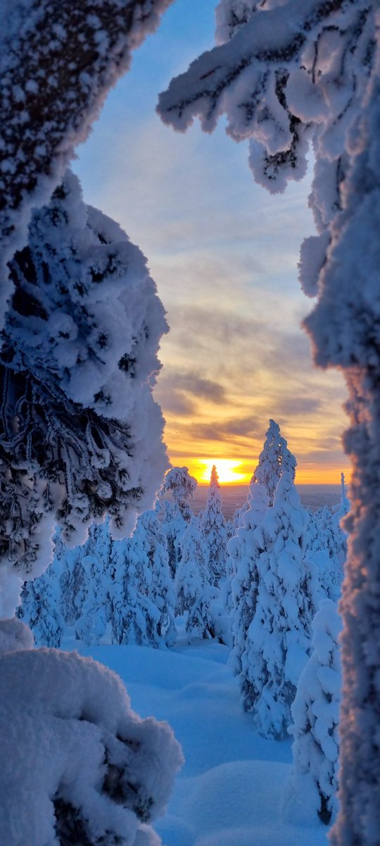 #Sunset at #Ounasvaara in a mild -20 degree #frost. #Finland #Lapland #Rovaniemi