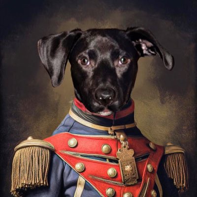 GoriAlvaro's tweet photo. Coronel Lenardo
Lenny para los amigos https://t.co/VSNfHsK5Kb