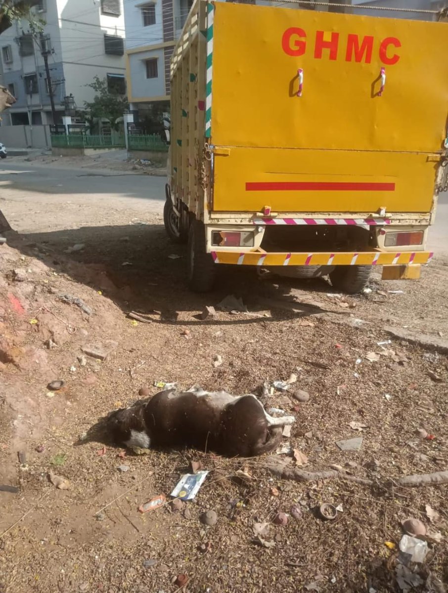 AD-vet,KPZ GHMC tweet media