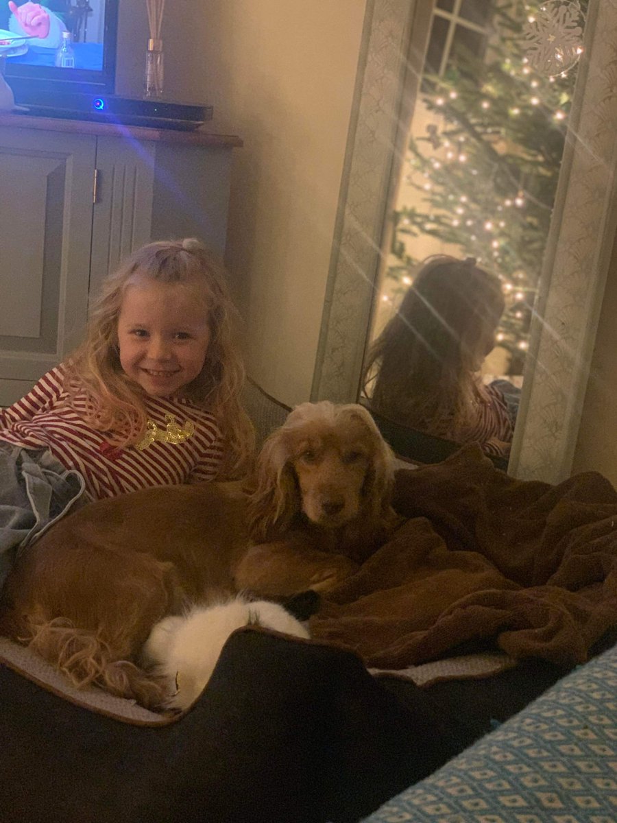 <a href="/Dph2020/">DJ</a> <a href="/TomJumboGrumbo/">Keith Olbermann's Dogs</a> I homed a dog I rescued to a fab family who has a daughter aged4. What a home this ex puppy farm bitch has.
I grew up with dogs and understand being cautious is a must, but don’t rule it out altogether?