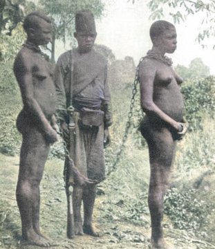 A history written in blood cannot be erased by lies written in ink.

Never forget.