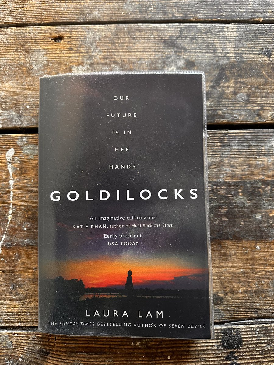 my_grayne's tweet photo. #AmReading #BooksOf2024 #Goldilocks #LauraLam https://t.co/o0fvFw2Nsw
