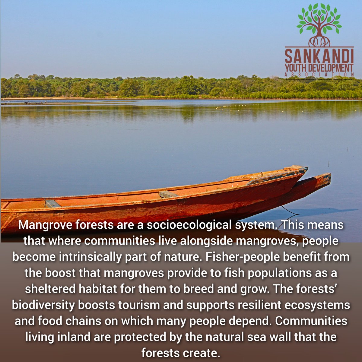 Sankandi Youth Development Association (@sankandiyouth) on Twitter photo 