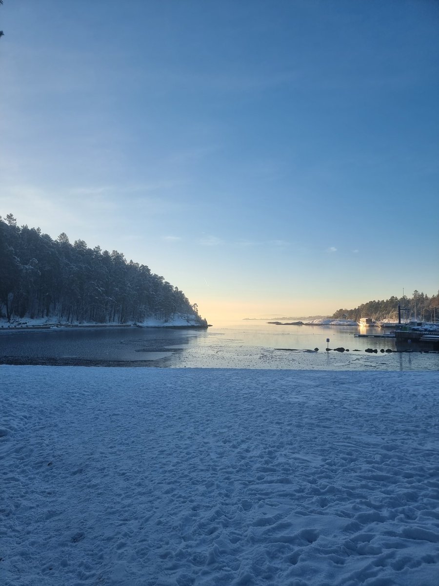 Veronica Halsvik tweet media