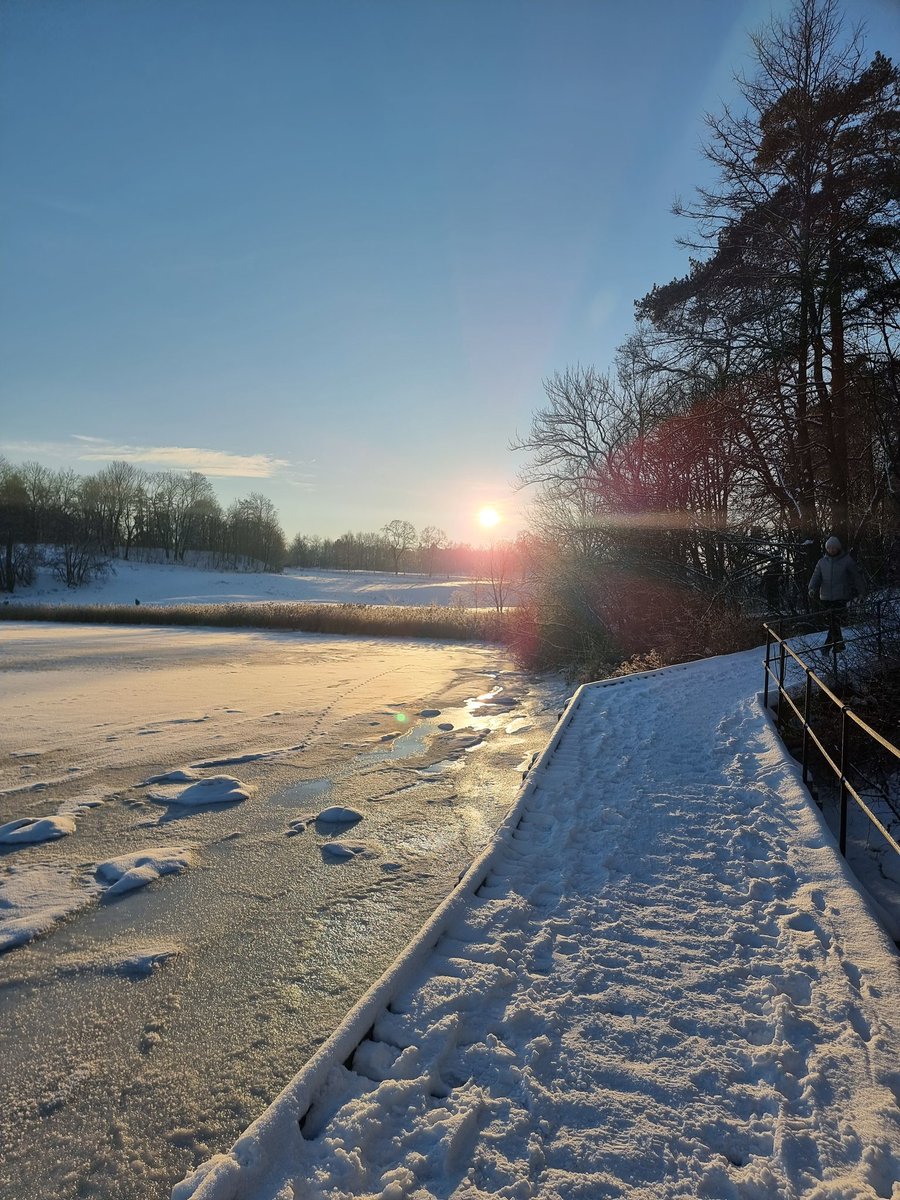 Veronica Halsvik tweet media