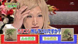 0655rb_3hajime's tweet photo. 2020の失敗したキリショーもいいけど2015の盆栽正解してるキリショーも見て https://t.co/fXkIX8xvIF