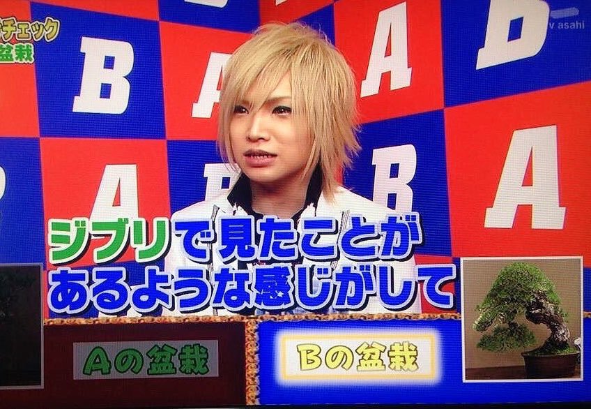0655rb_3hajime's tweet photo. 2020の失敗したキリショーもいいけど2015の盆栽正解してるキリショーも見て https://t.co/fXkIX8xvIF