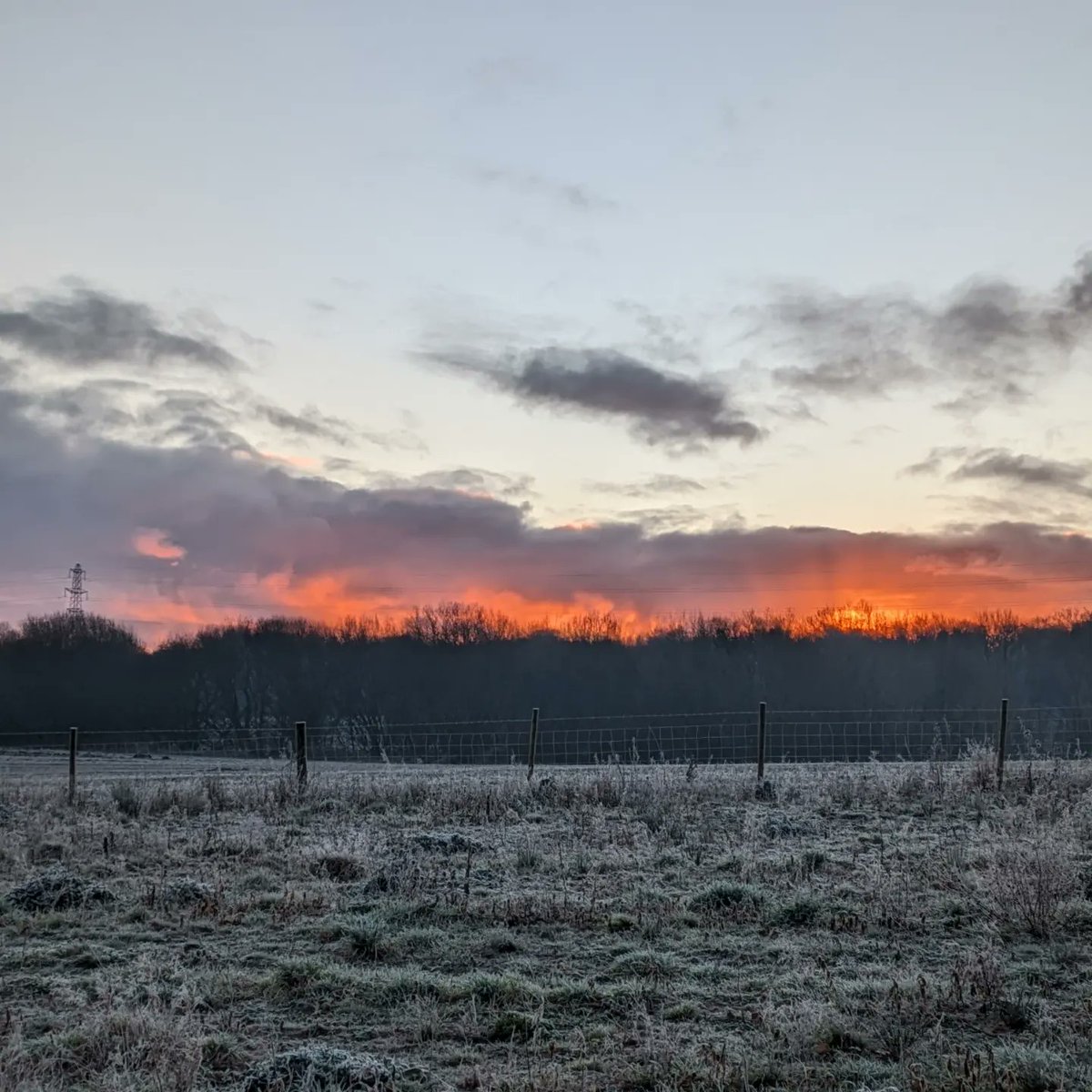 Katiebaabies's tweet photo. Irish winter morning 🥰 https://t.co/mzrHWxOzoY