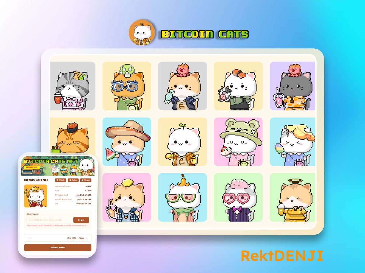 RektDENJI's tweet photo. 🎁 Denji X BitcoinCat🐱

Two days until @BitcoinCats1Cat NFT drop. Don’t miss out on these super cute cats on #Bitcoin

We #giveaway 3 WL spots. To enter:
1. Follow @BitcoinCats1Cat & @bakery_swap @RektDENJI
2. Like, RT, @ 3 friends

⏰ Hurry! Giveaway ends in 12h!

Don't forget to set a cat as your profile pic: https://t.co/qmFlsuR0jG

#NFT #1CAT #Metaverse