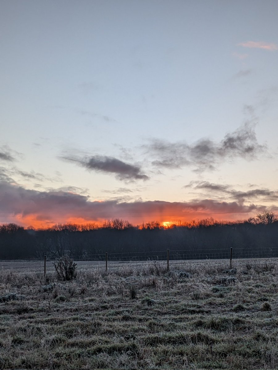 Katiebaabies's tweet photo. Irish winter morning 🥰 https://t.co/mzrHWxOzoY