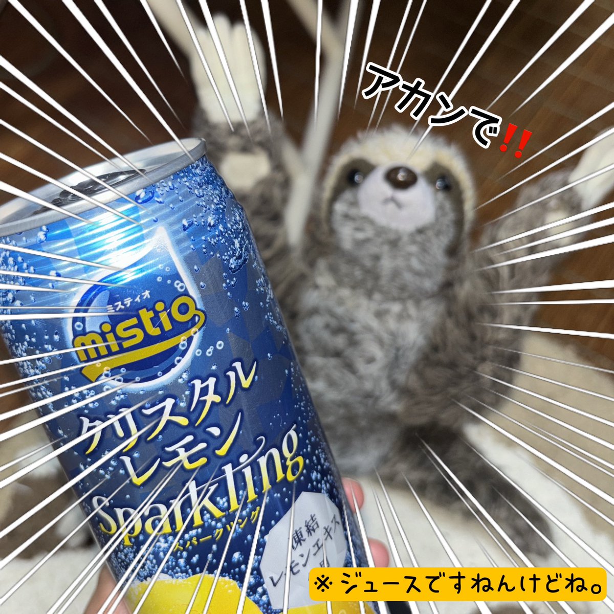 namasanyade's tweet photo. ね、ねおが
チューハイにしか見えない
ジュースを
飲もうとしてますねんけどね🦥💦🍋
#ぬい撮り
#DyDo
#misitio
#クリスタルレモン https://t.co/uLMRGMRVqU