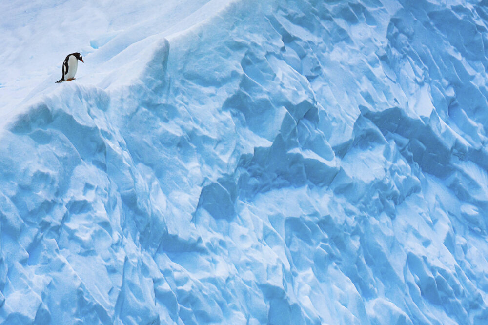 Sometimes, the biggest opportunities come from stepping out of your comfort zone. Whether it's a new project, location, or strategy, embracing change in real estate can lead to incredible growth. Dare to take the leap! Contact us - voltaglobal.com/connect
#RealEstateDevelopment