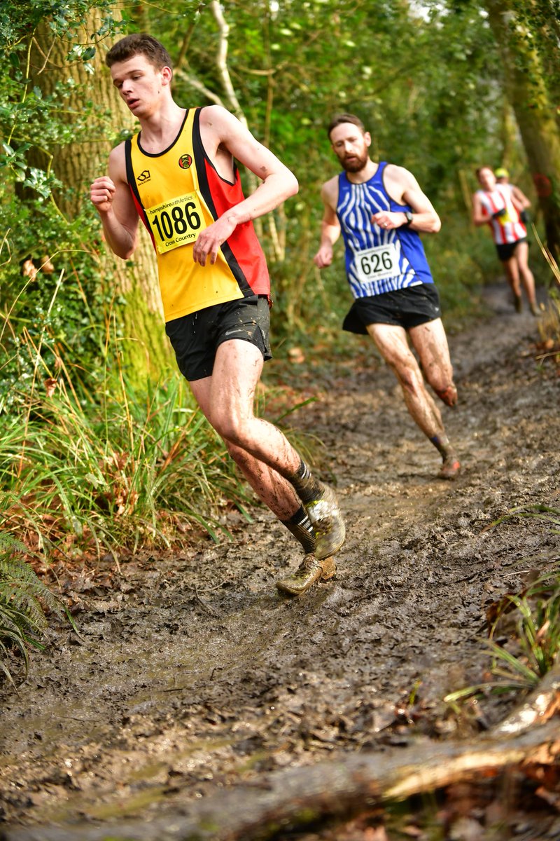 lisa hedderly tweet media