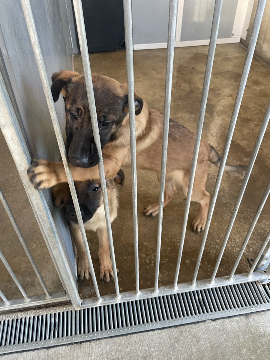 This Week RTÉ tweet media