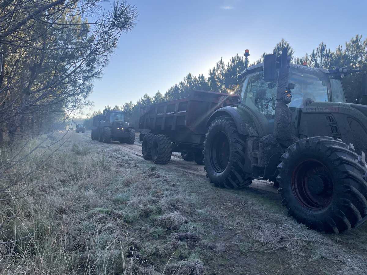 Patrickackeren's tweet image. Viva la France🌺